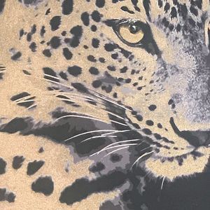 Meet your Posher, Cornell